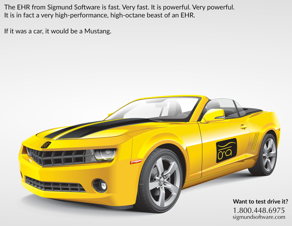 If Sigmund Software was a car, it would be a Mustang