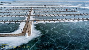 Winter at Sugarloaf Marina