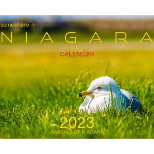 Animals of Niagara Calendar 2023 #2