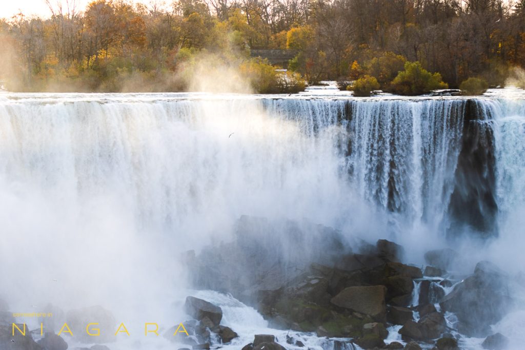 A lonely gull flies through the mists of Niagara Falls in search of breakfast