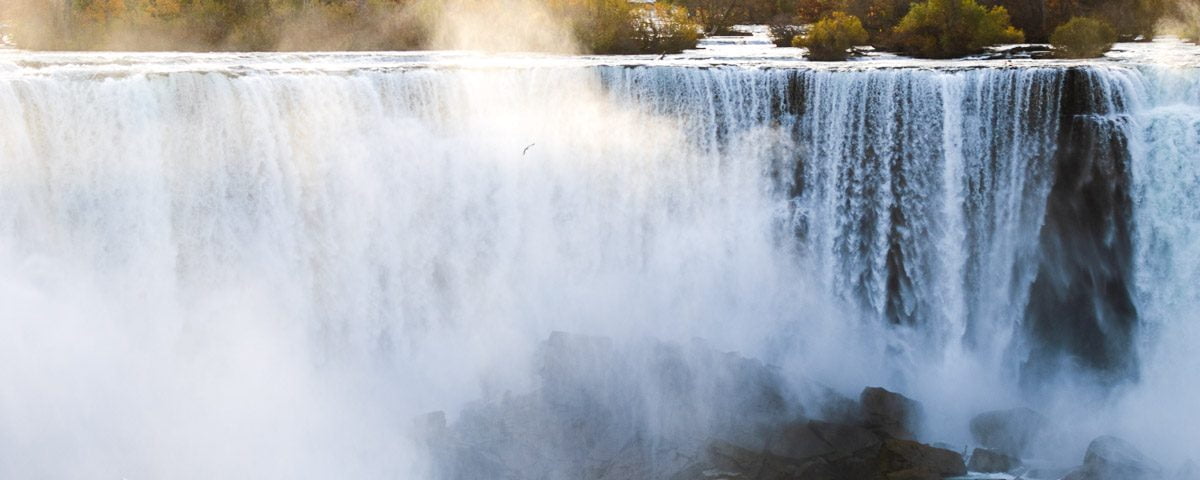 A lonely gull flies through the mists of Niagara Falls in search of breakfast