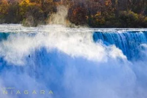 Gull Fishing in Niagara Falls