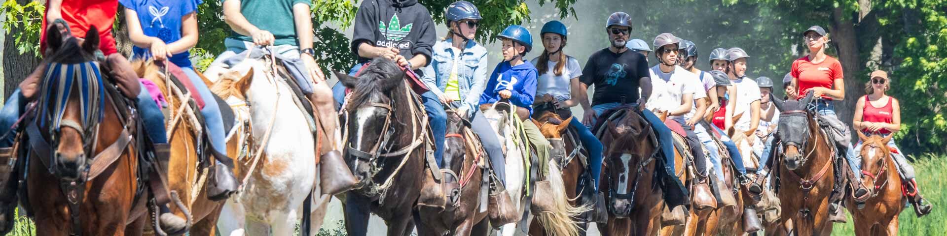 A convoy of horses, near Port Colborne, Ontario