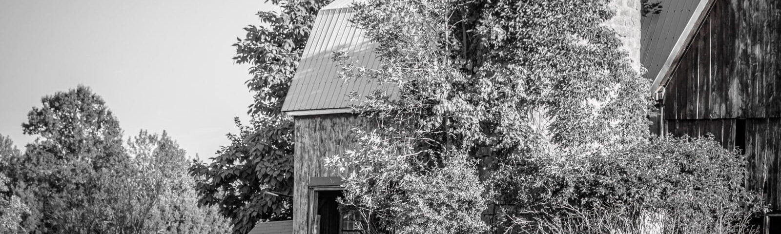 Two horses and a barn