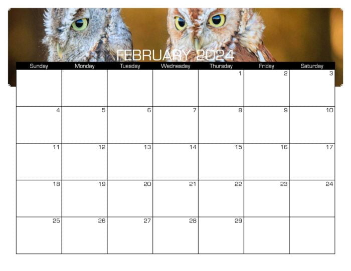 Birds Of Prey Calendar