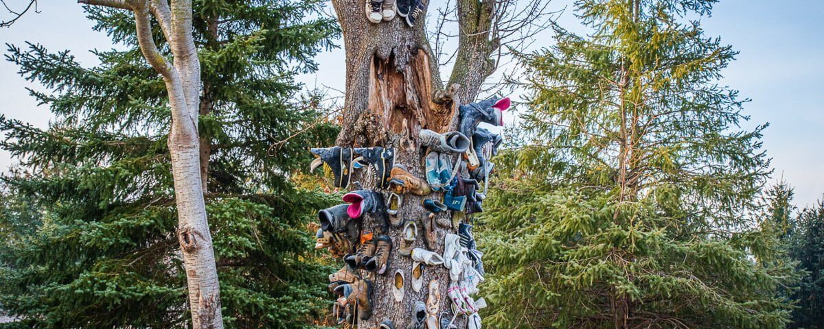 Shoe Tree