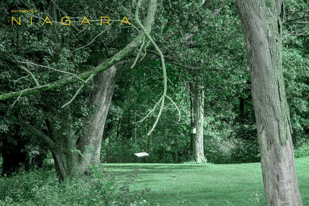 A garden swing in a rural setting