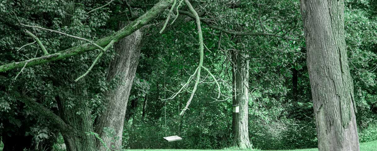 A garden swing in a rural setting