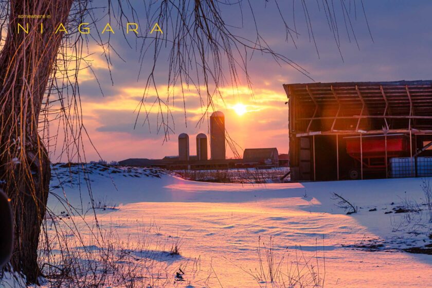 IOTW: Canadian Christmas