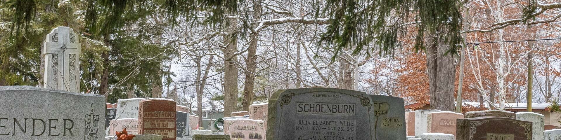Snow on trees in the graveyard