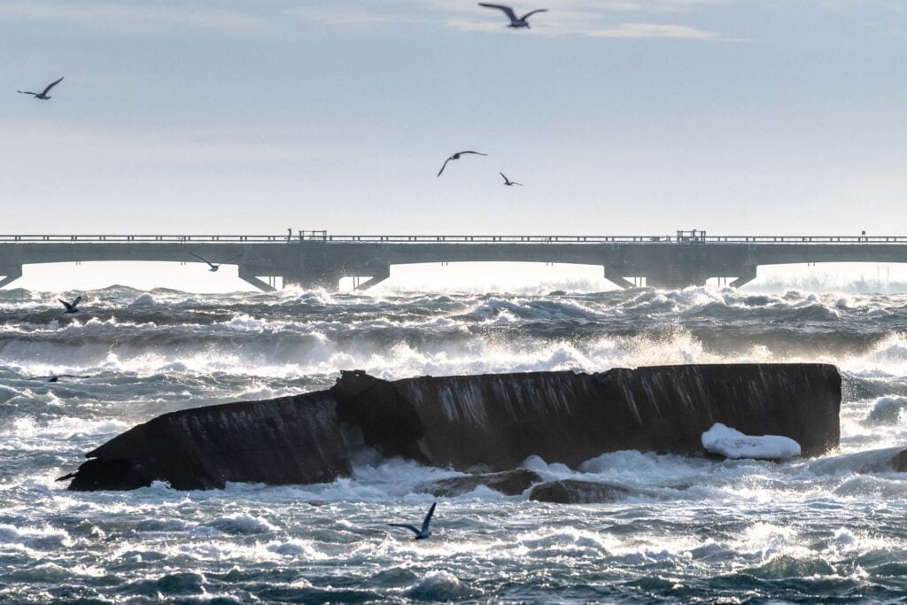 Gulls flock around the old scow, upriver of Niagara Falls