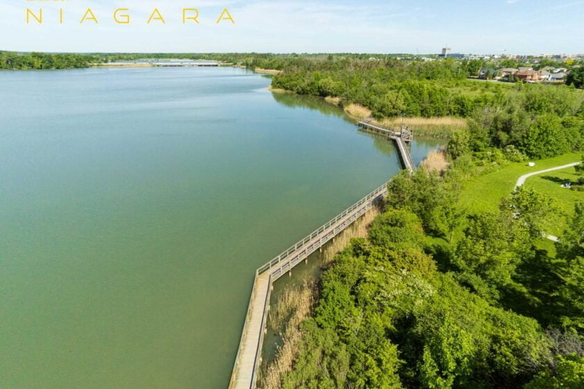 Lake Gibson From The Air