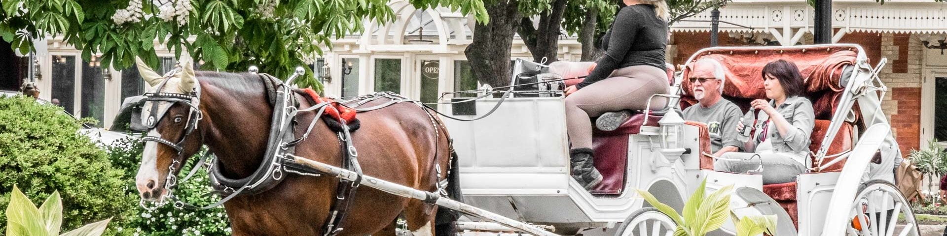 NOTL horse and carriage rides