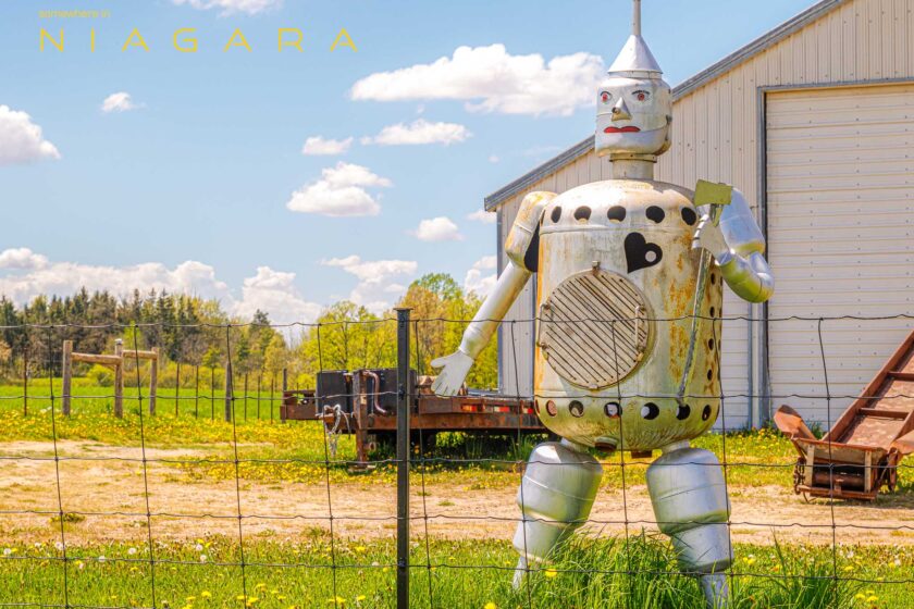 Tin Man