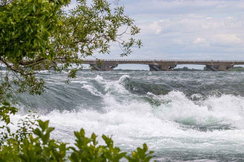 Goat Island, NY