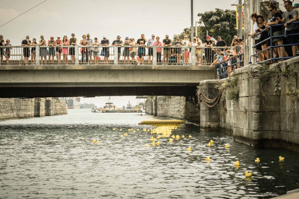 2024 Duck Race, Port Colborne