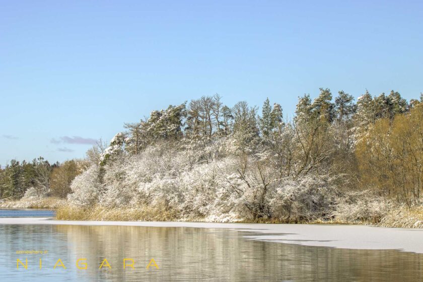 Frost on Gibson Lake