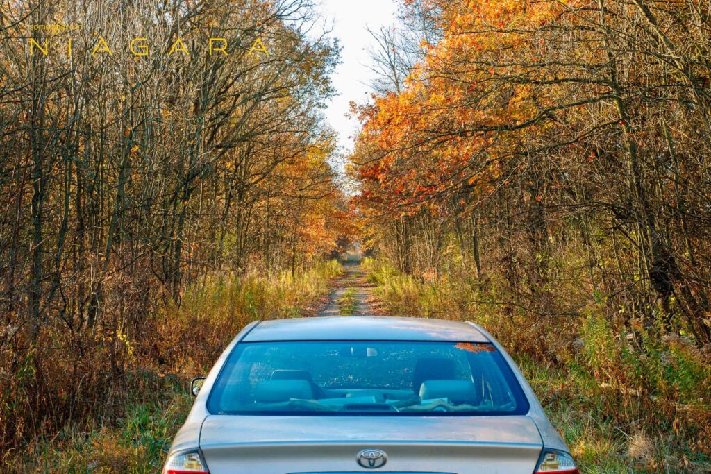 Car on an overgrown track somewhere in niagara.