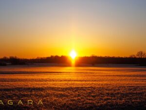 Winter Sunrise