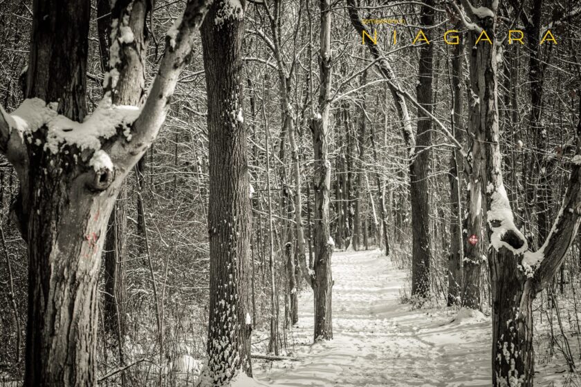 Short Hills in Snow