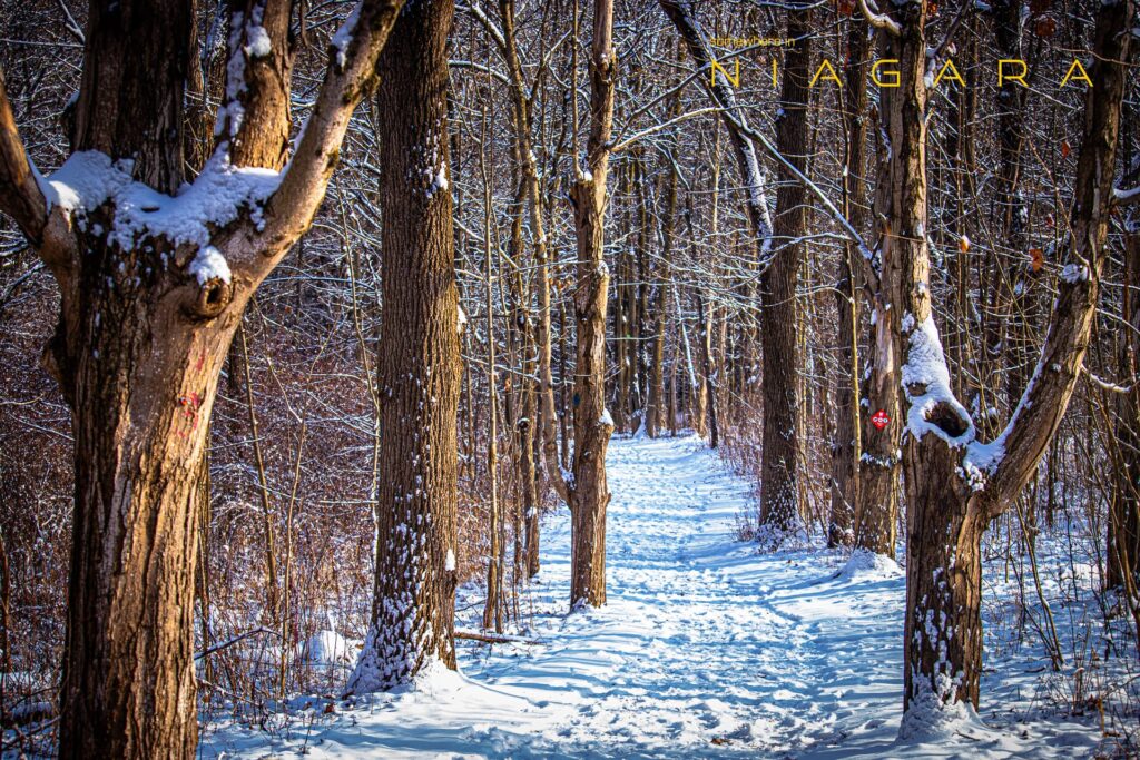 A hiking trail in winter
