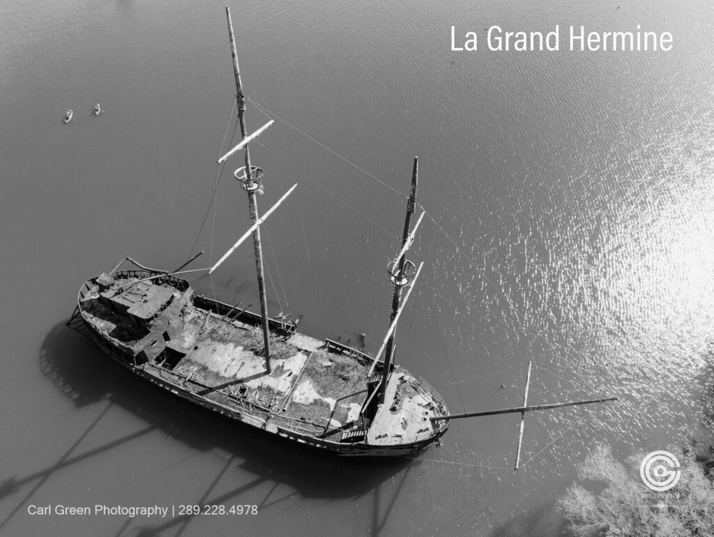 Grand Hermine
