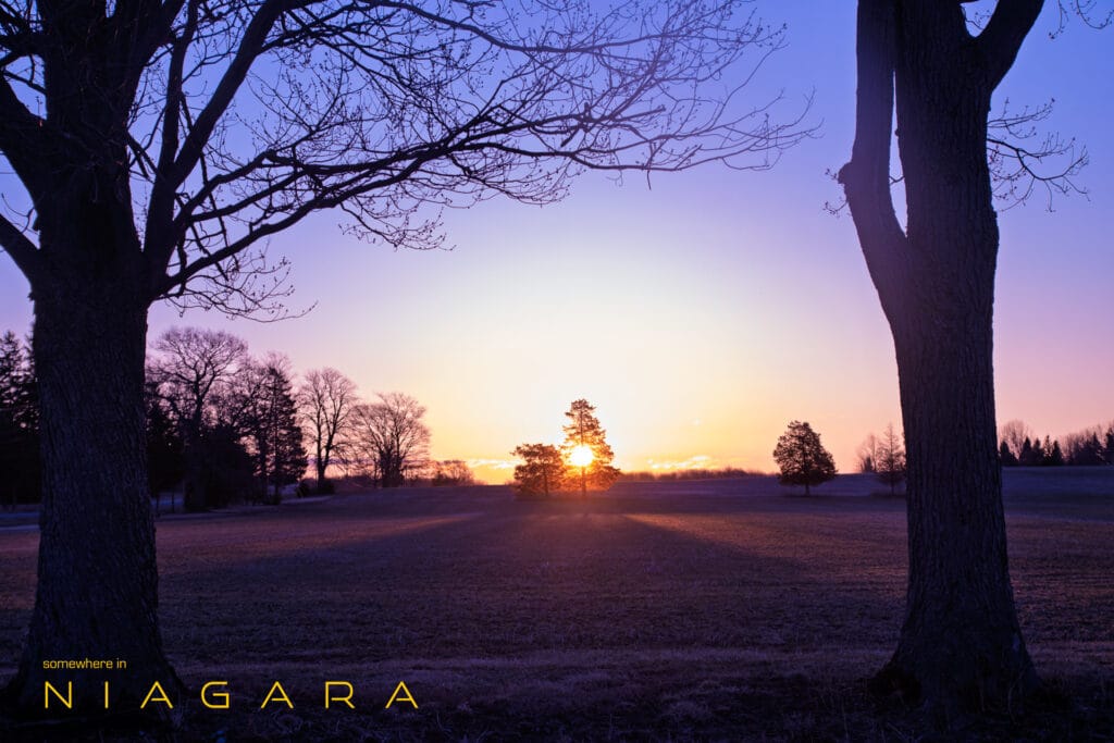 sunrise between two trees
