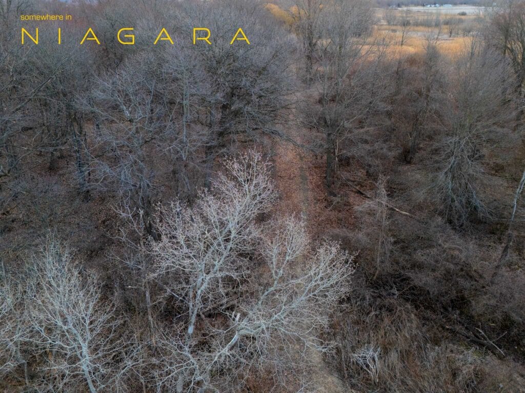 Hiking trail somewhere in niagara