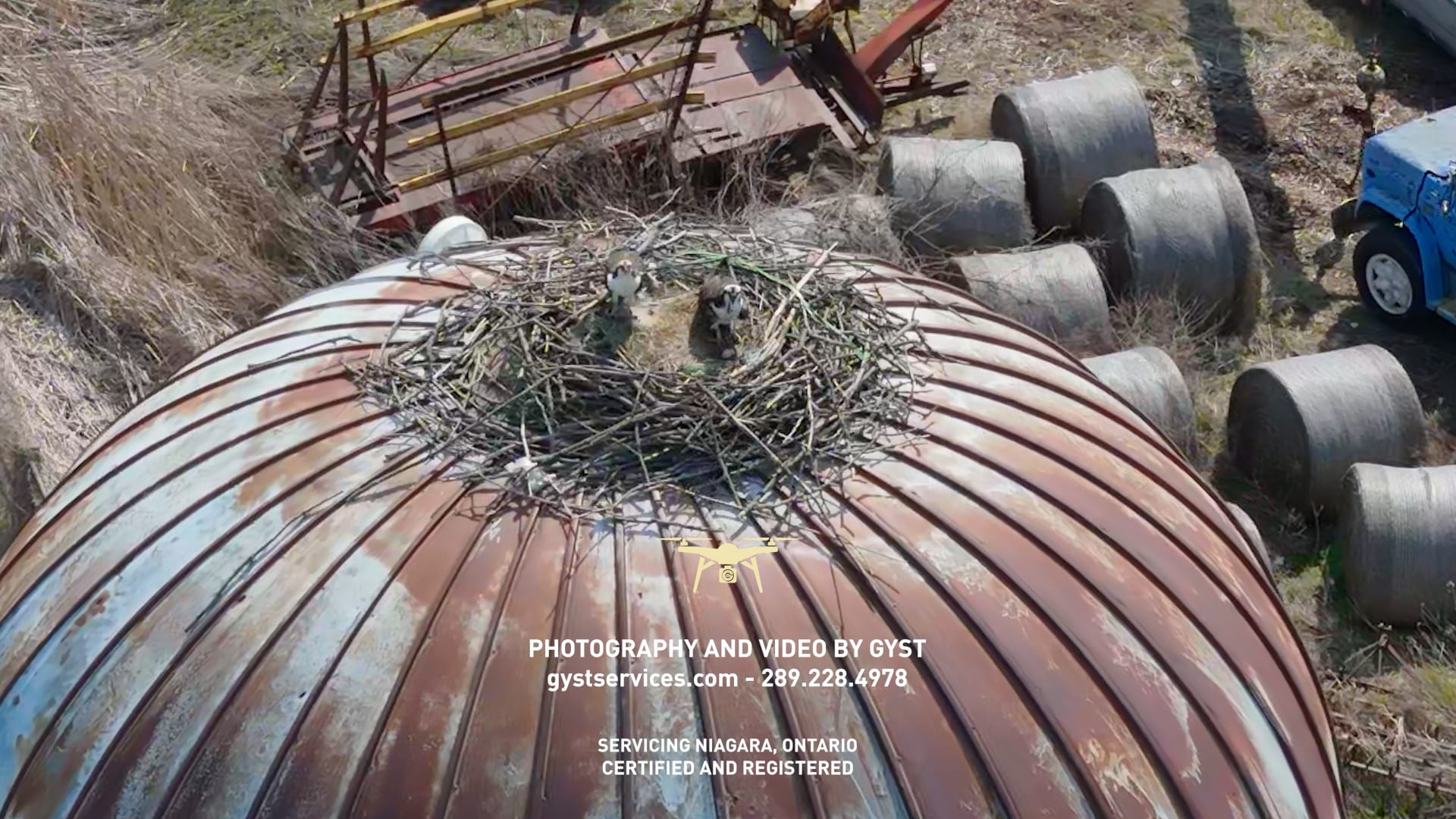 Osprey nest on top of a silo, somewhere in Niagara