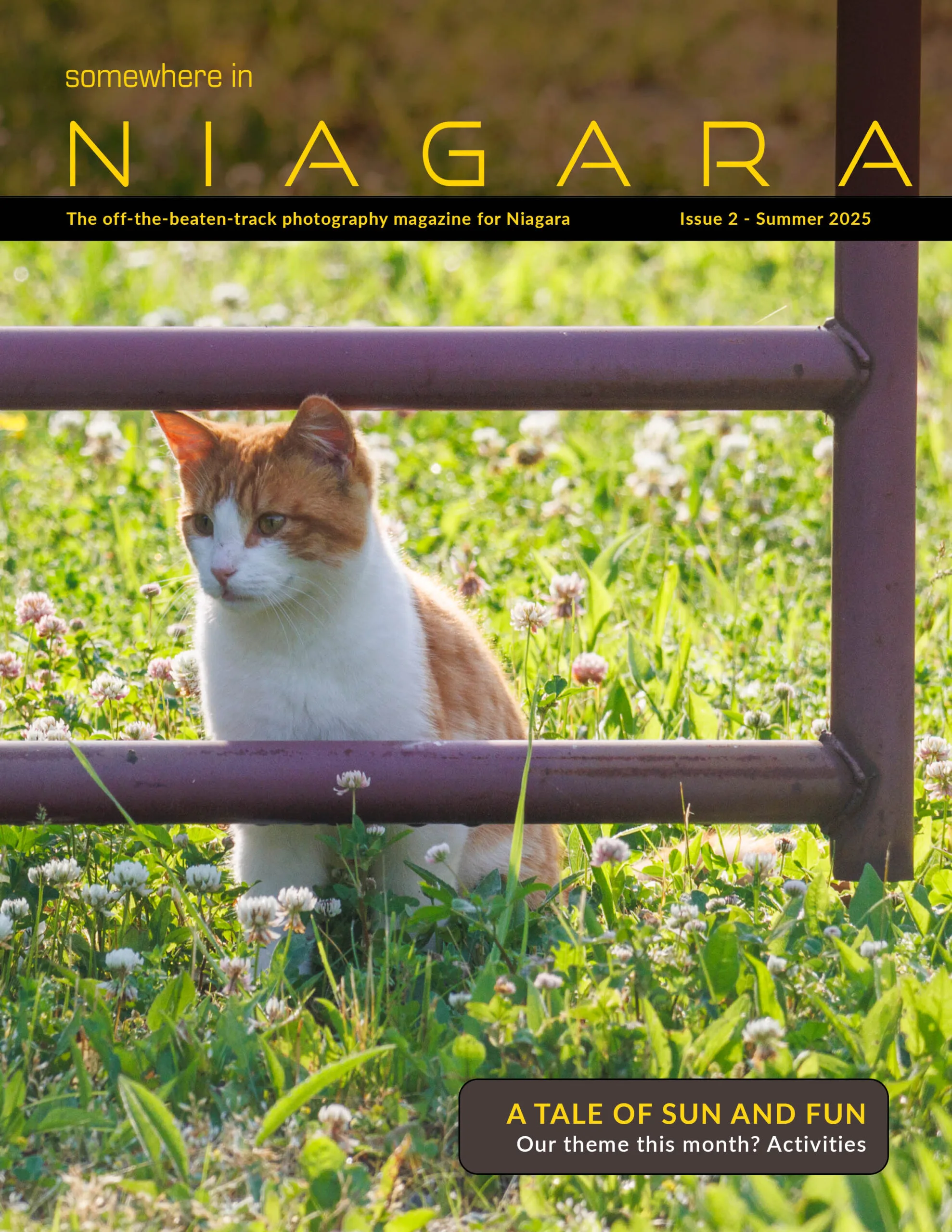 Wild cat in a field looking through a gate