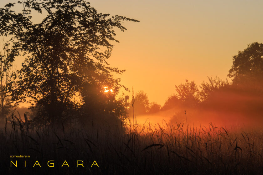 Photographing Sunrise