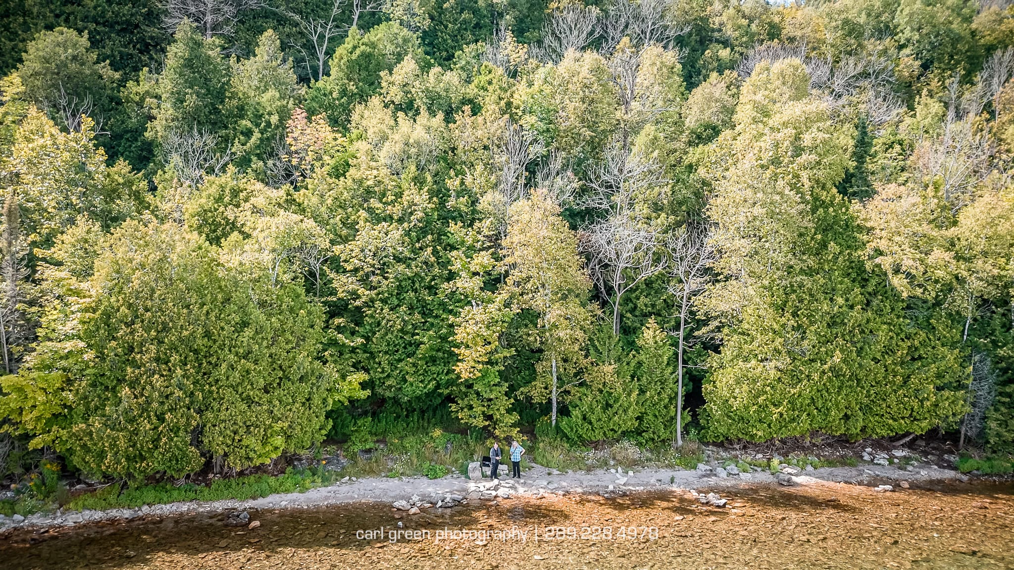 Autumn forest on a hillside in Ontario.